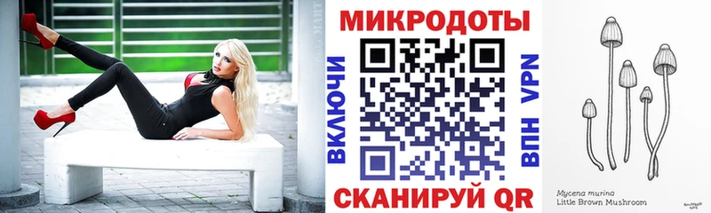 Псилоцибиновые грибы Psilocybine cubensis  Бердск 